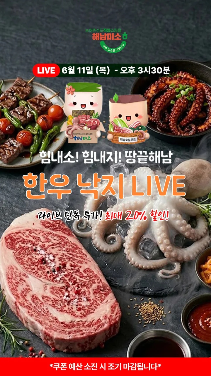 힘내소! 힘내지! 땅끝해남 한우·낙지 특집 LIVE