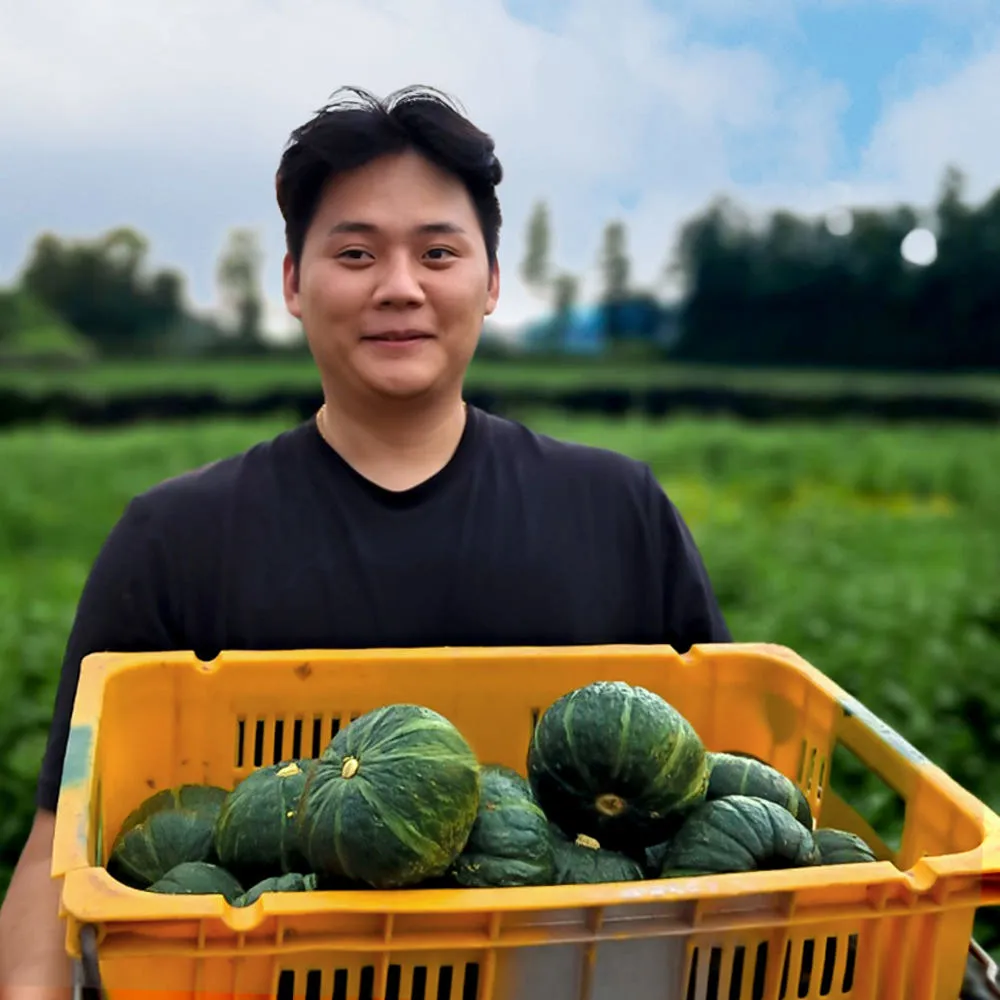 제주도 미니 단호박 서귀포 농장직송 밤호박 10kg 5kg 3kg 2kg 1kg 보우짱