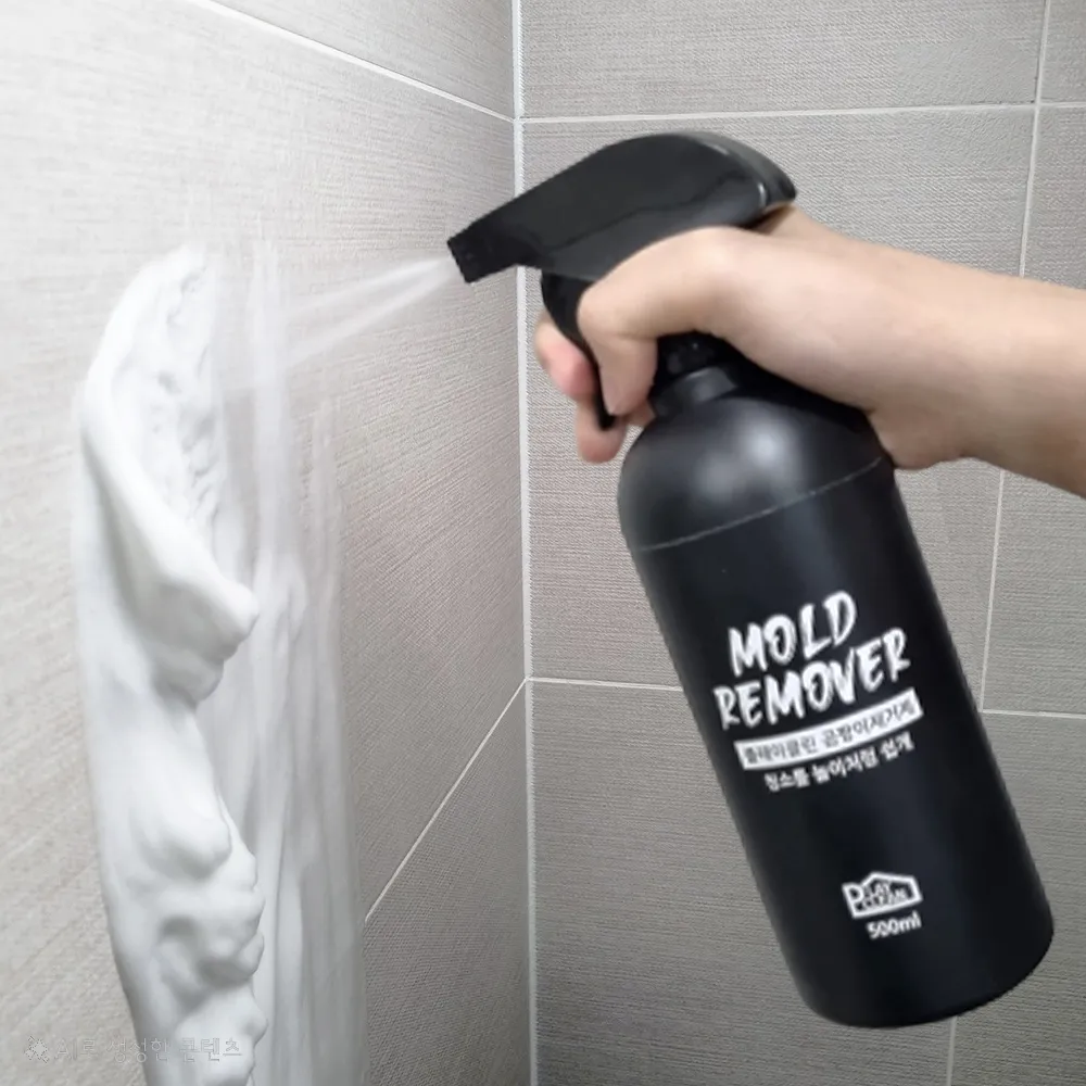 플레이클린 곰팡이제거제, 500ml, 1개