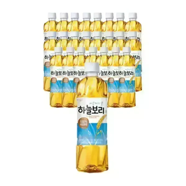 [11번가] 웅진 하늘보리 유/무라벨 랜덤 500ml, 24개