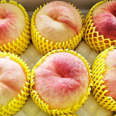 (농할) 의성 햇살어린 딱딱이 복숭아 2kg 상과 7-9과