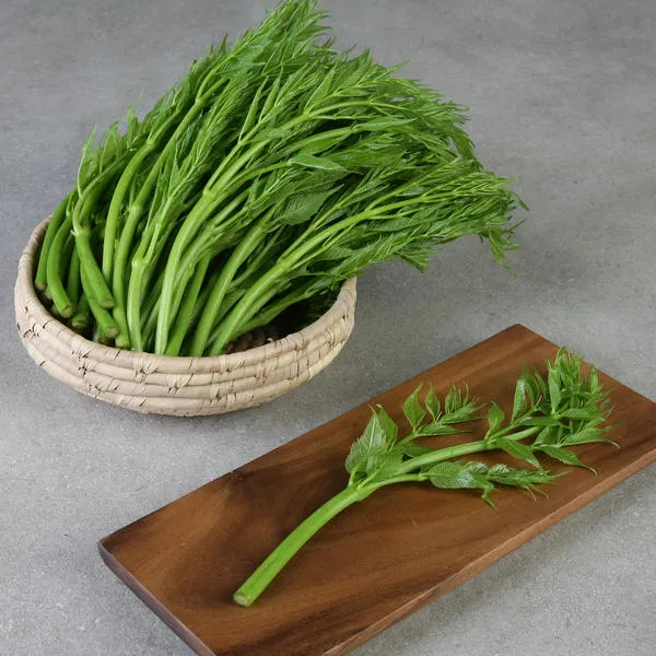 [11번가] [행사 12,180] 무주 반딧불 여름 두릅 500g+500g(총1kg) 산지발송 나물