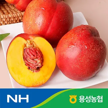 (농할) 국내산 천홍 천도 복숭아2kg 대과(11-14과) / 농협선별