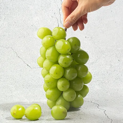 [시즌오픈] 김천 특품 샤인머스켓 2kg x 총 4수 / 국내산 프리미엄 씨없는 청포도