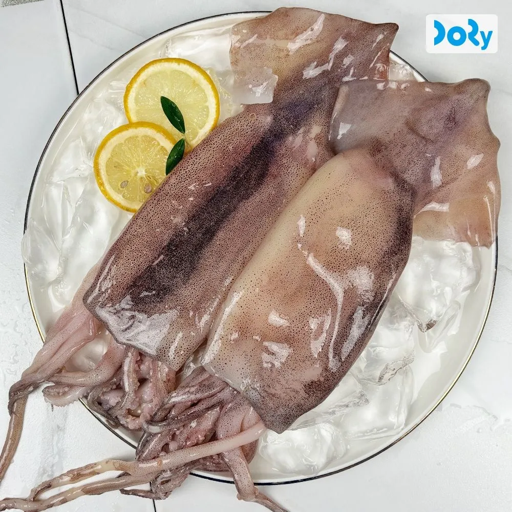 [APP전용]소포장 자연산 손질 통오징어 1.1kg (220gX5팩/총 10마리) : 롯데ON