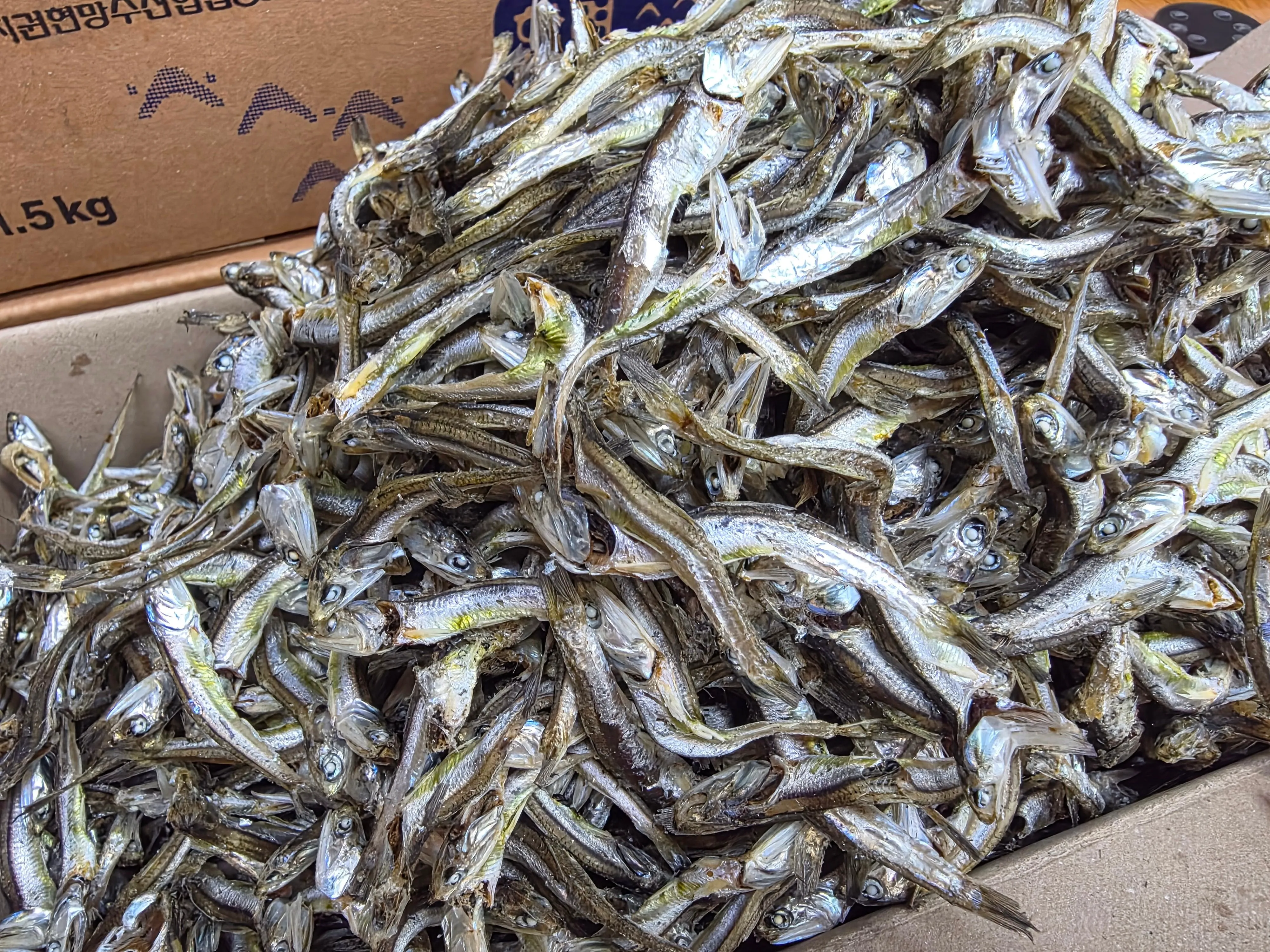 [최종가 9,230원] 남해안 햇 멸치 다시용/안주용/무침용 고주바 멸치(1.5kg1박스) : 롯데ON