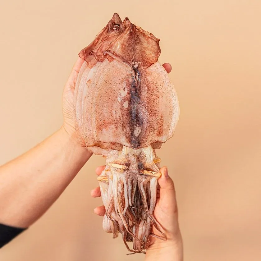 원양산 반건조 오징어 피데기 5미 (550g)