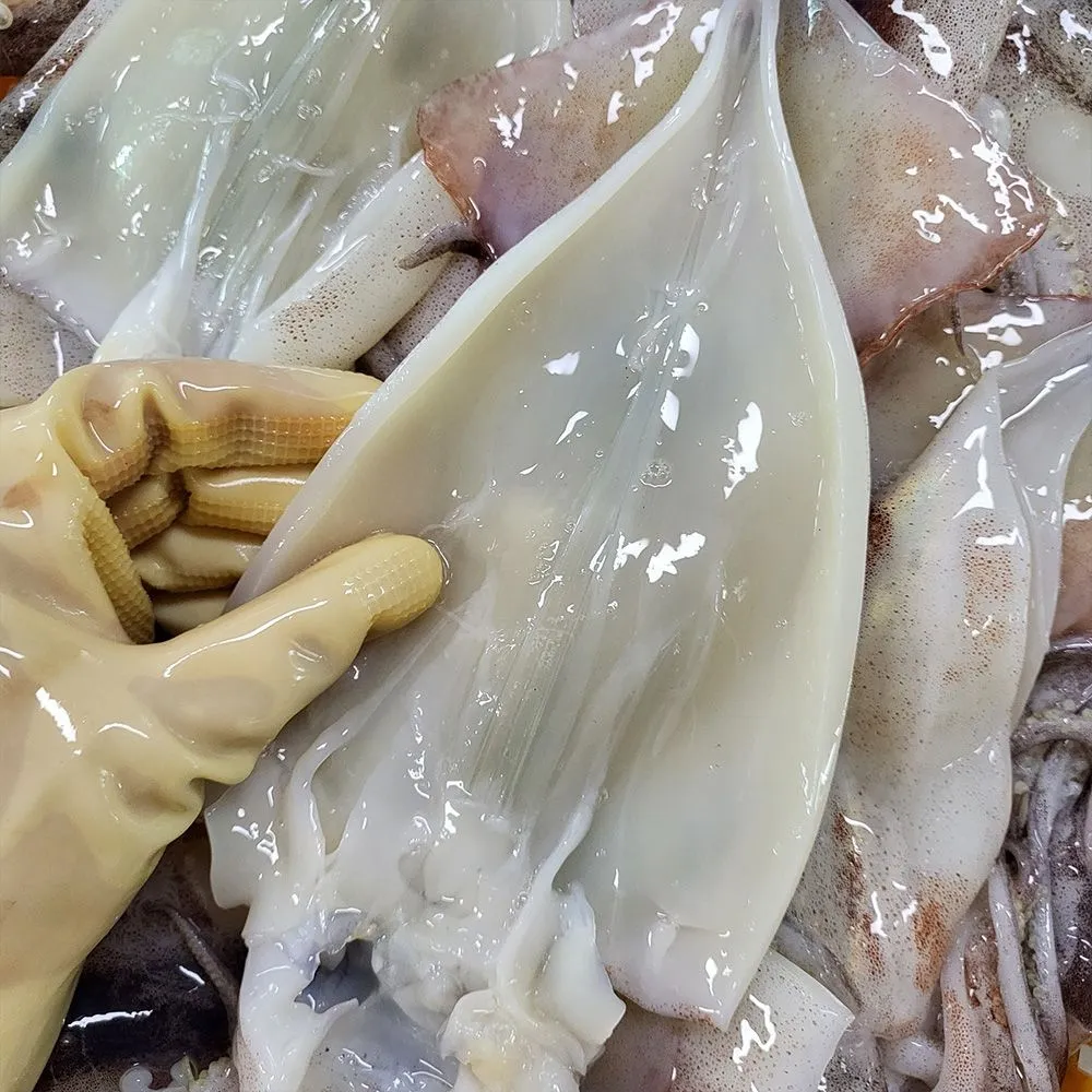 [자연맛남][수산대전20%쿠폰] 자연산 손질 통오징어 10마리(220gx5팩) 외 : 롯데ON
