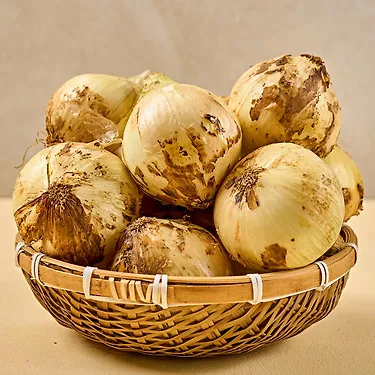(농할) [식식한상] 26년 수확 무안 양파 3kg 중대사이즈(개당 150g 내외) 외 특대사이즈 등