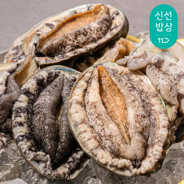 [11번가] 완도 활 전복1kg 6-7미 특대전복 횟감용 구이용 살아서도착 + 세척솔 증정