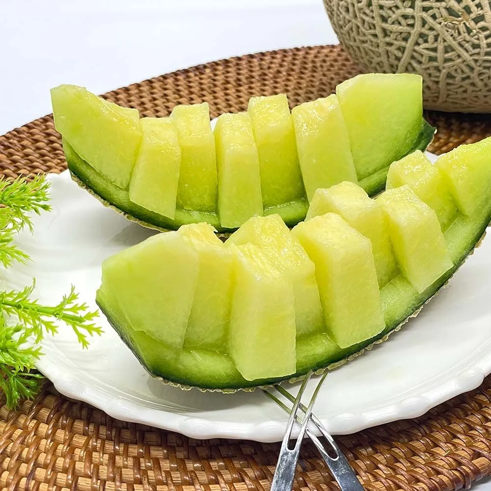 [파인밀][1.6kg 2수 최종가:13,020원][파인밀] 고당도 프리미엄 국내산 머스크메론 1.6kg 2수 외 : 롯데ON