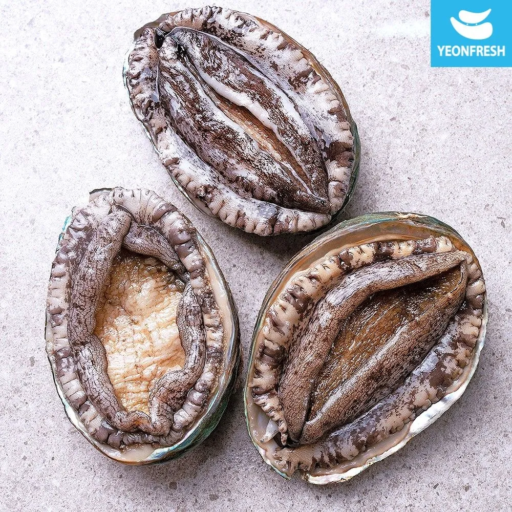 [연프레시][APP전용][최종가14,720원]완도 활전복 1kg 9-10미 [산소팩, 무료배송] : 롯데ON