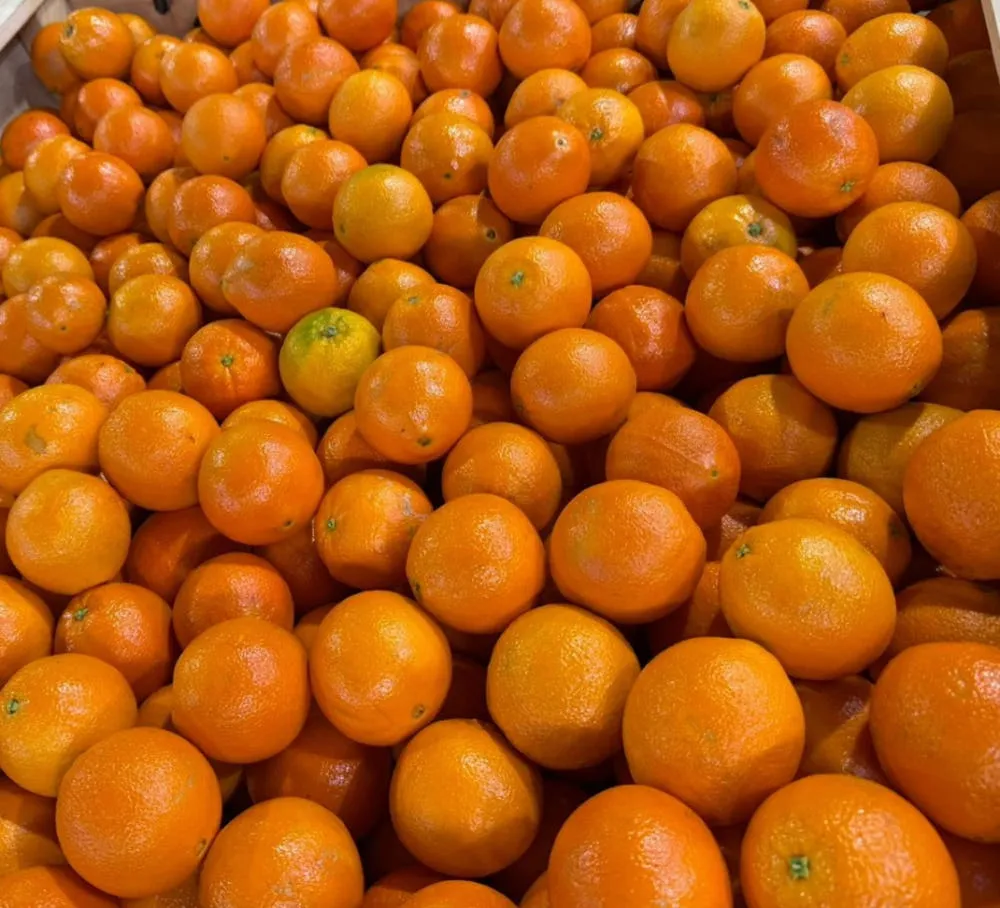 호주산 오렌지 2kg