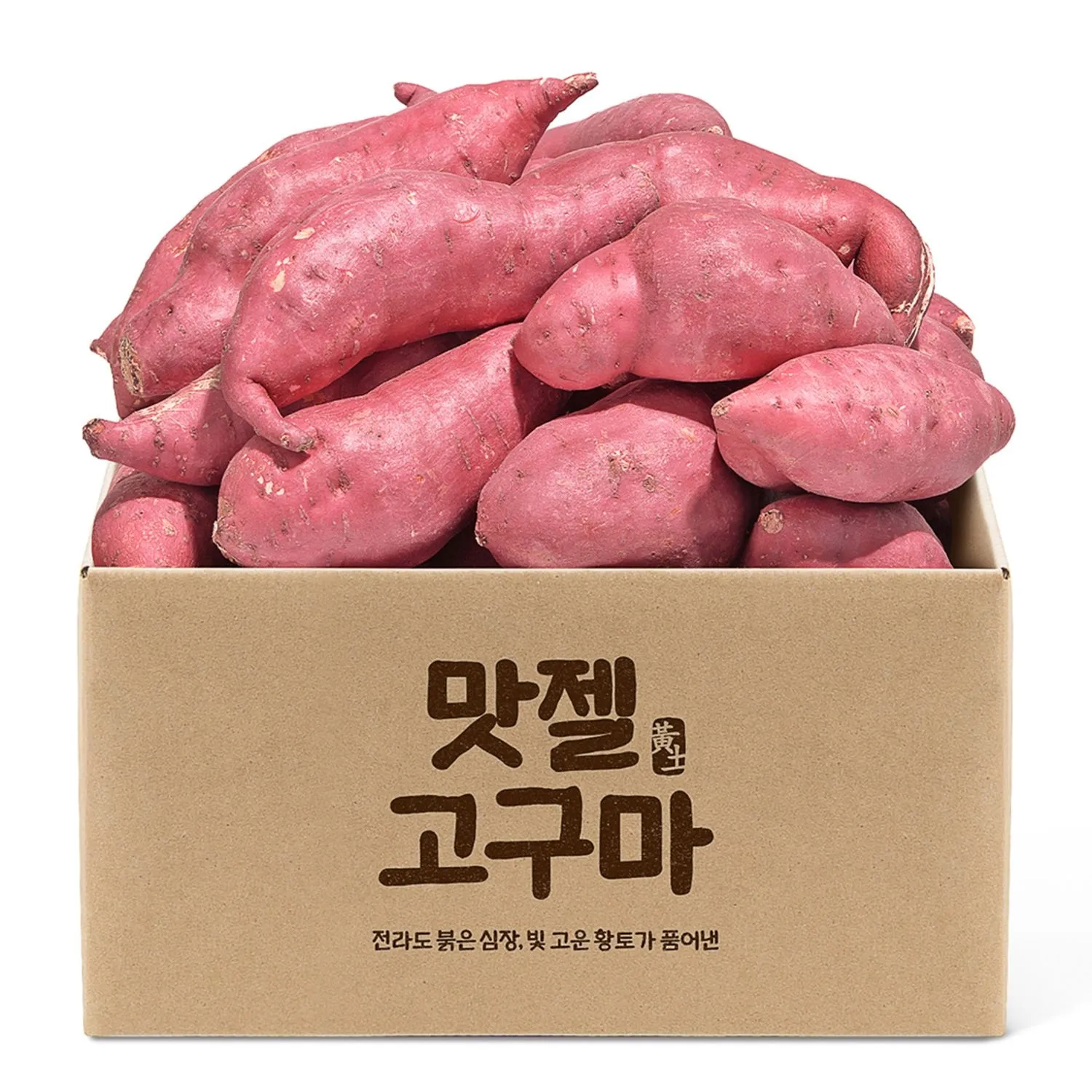 2026년 햇 단밤고구마 5kg 실속형 특상
