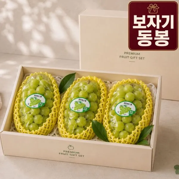 산지직송 샤인머스캣 2kg(3구) 명절 선물세트 _선물 보자기 증정