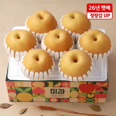 [꽉찬] 과즙 햇 수확 과즙 넘치는 배 3.7kg(5-7과)