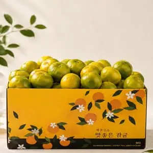 [농할]국내산 행복 제주 햇 감귤 4.5kg 소과