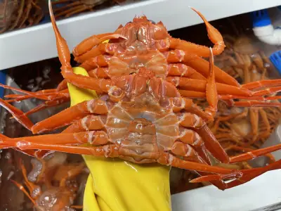 [신선도] 국산 제철 박달홍게 대게 울진 자숙 홍게 4kg 당일조업